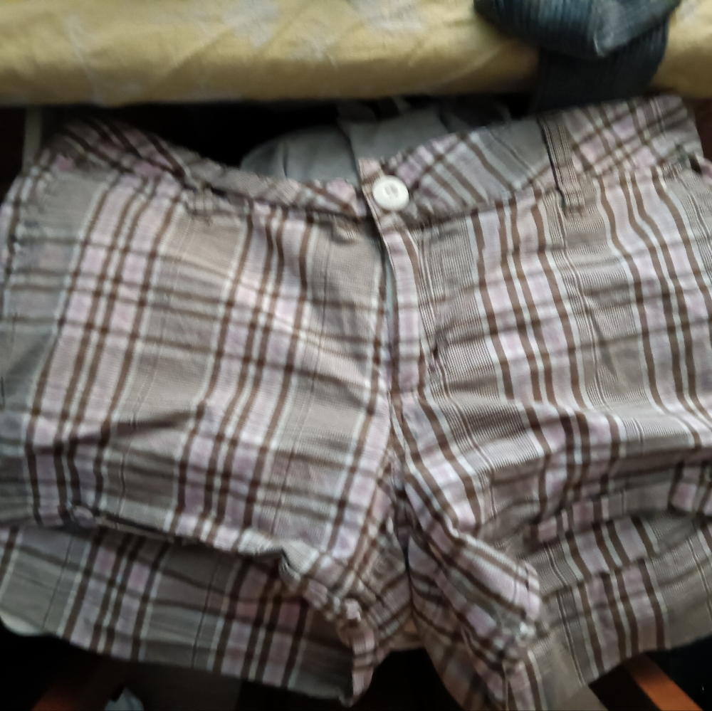 No Boundaries short shorts